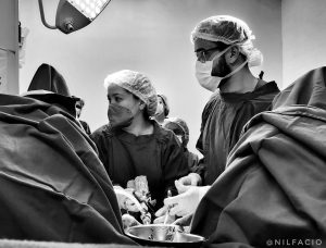 Top AI Startups Revolutionizing Healthcare and Medical Research