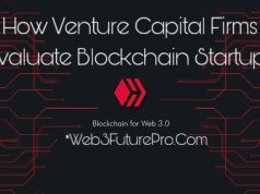 How Venture Capital Firms Evaluate Blockchain Startups How Venture Capital Firms Evaluate Blockchain Startups