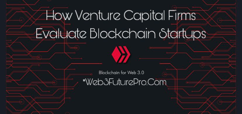 13CF7EAF-A375-4EC4-999F-257F0DC95C93 How Venture Capital Firms Evaluate Blockchain Startups